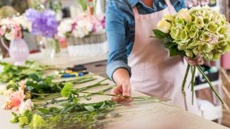 Ilustrační obrázek