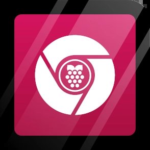 FullPageOS logo