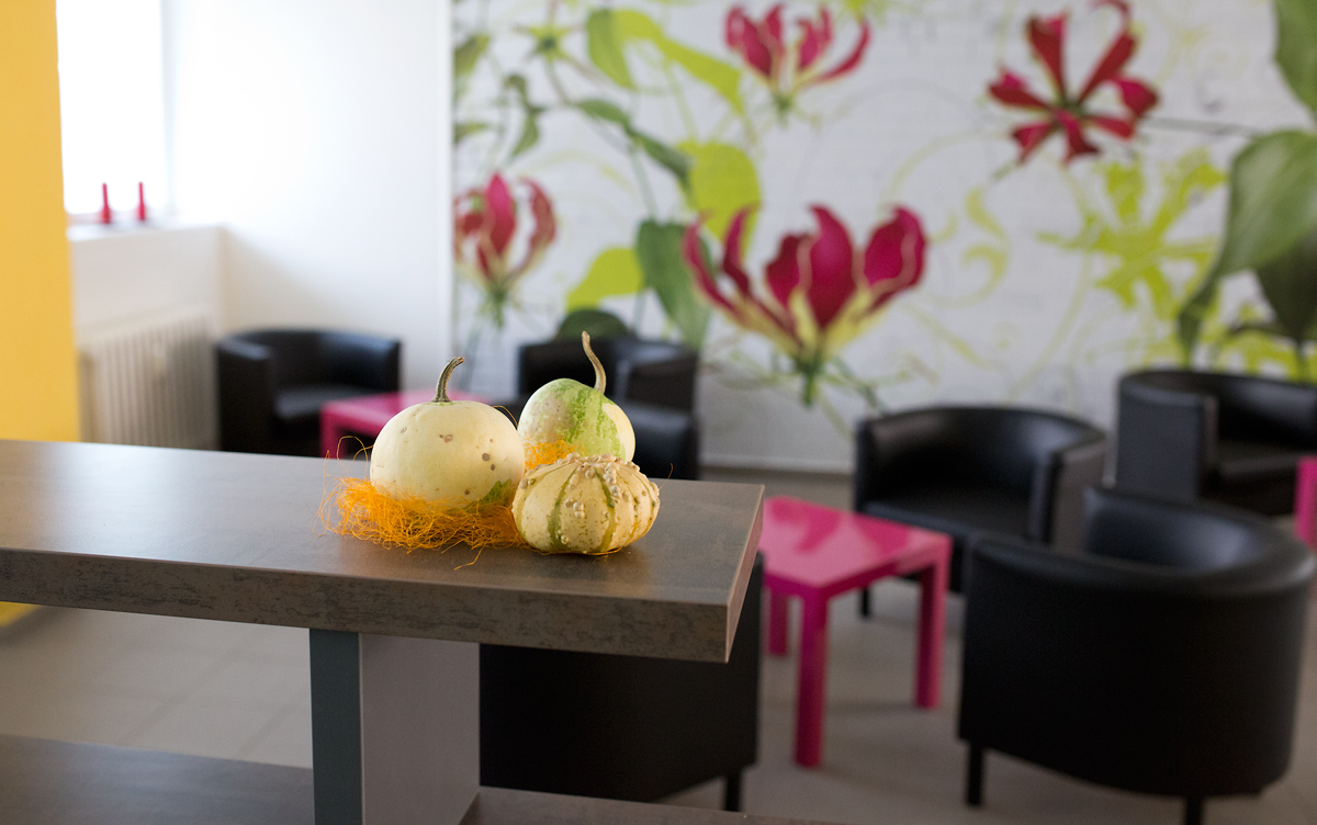 POHANKA - jídelna pro zdraví slouží Pardubičákům už rok.