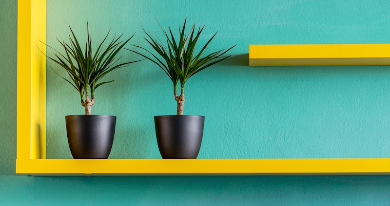 POHANKA - jídelna pro zdraví slouží Pardubičákům už rok.