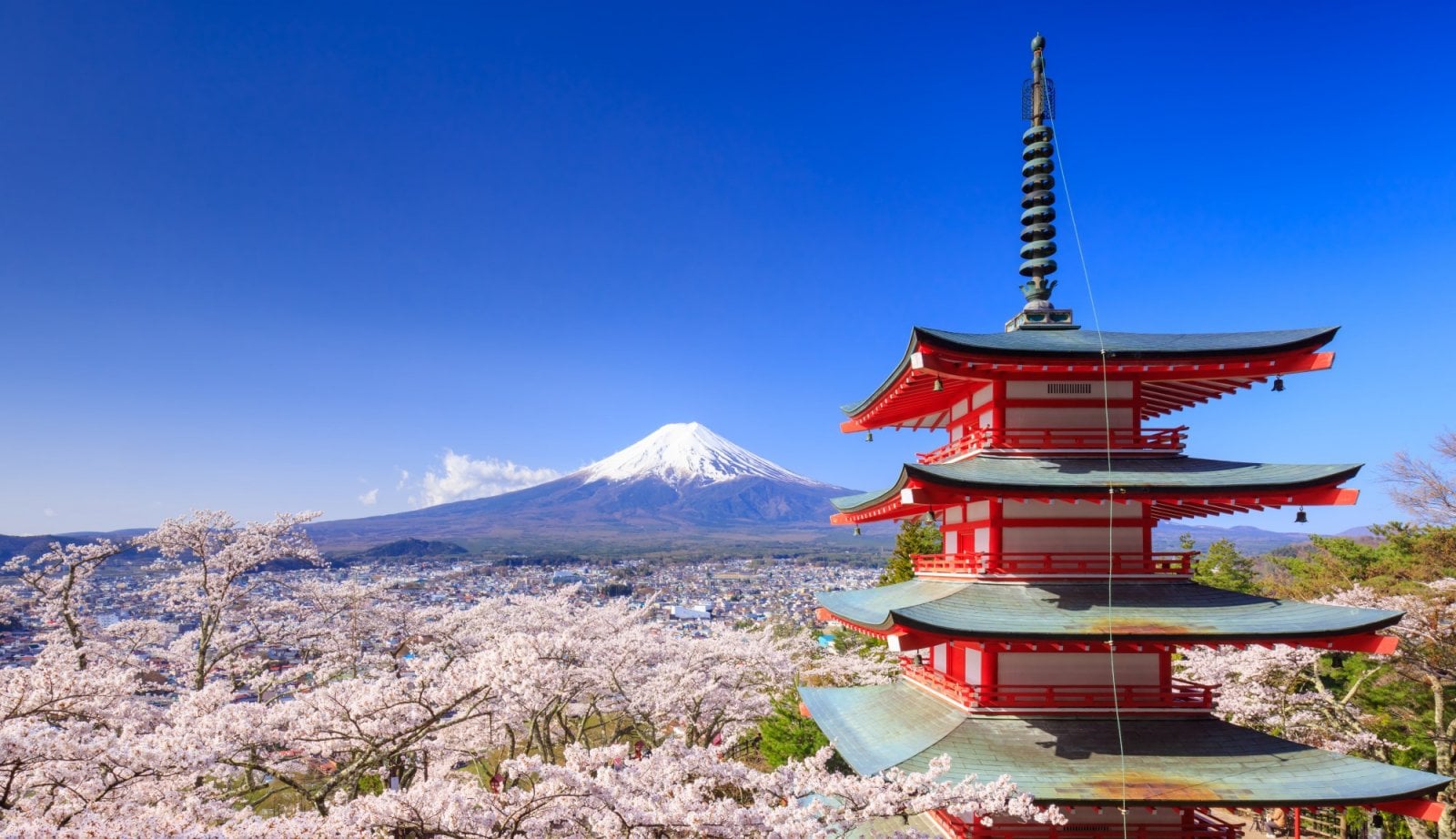 Dovolená v exotice, Japonsko