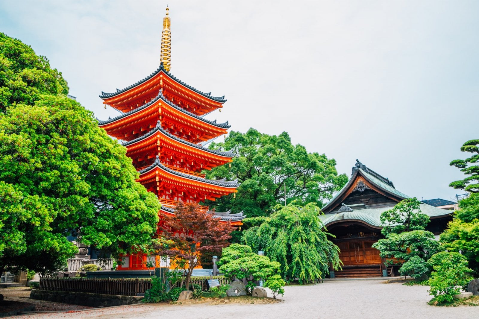 Dovolená v exotice, Japonsko