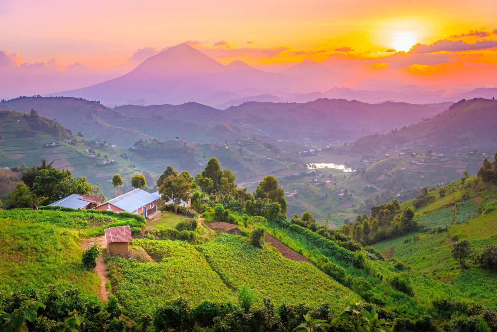 Dovolená v exotice, Uganda