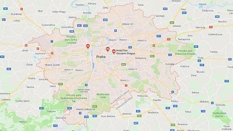 Obrázky obrovského bílého kohouta