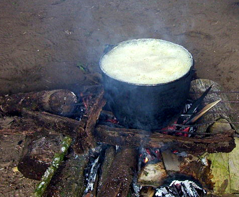 Ayahuasca - liána smrti