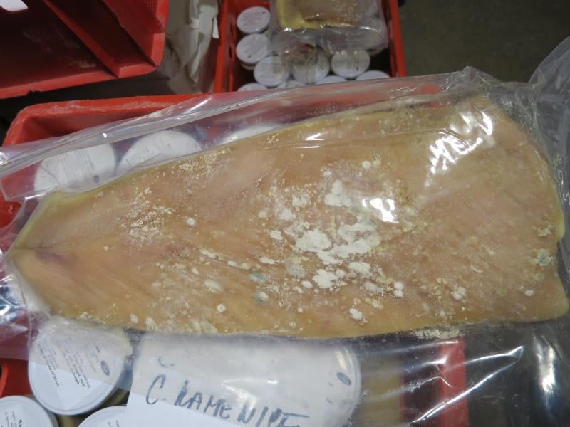 PALMER, Pekařství u Martina, Česká Kamenice - STREAKY BACON SINGLE LAYER: Na povrchu výrobku pod obalem byly patrné kolonie plísní viditelné pouhým okem. Potravina se nepovažuje za bezpečnou, pokud jeví známky kažení. Obal byl porušený - bylo porušeno vakuum.