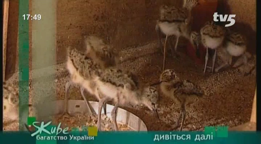 Nové satelitní FTA kanály 46. týden roku 2018