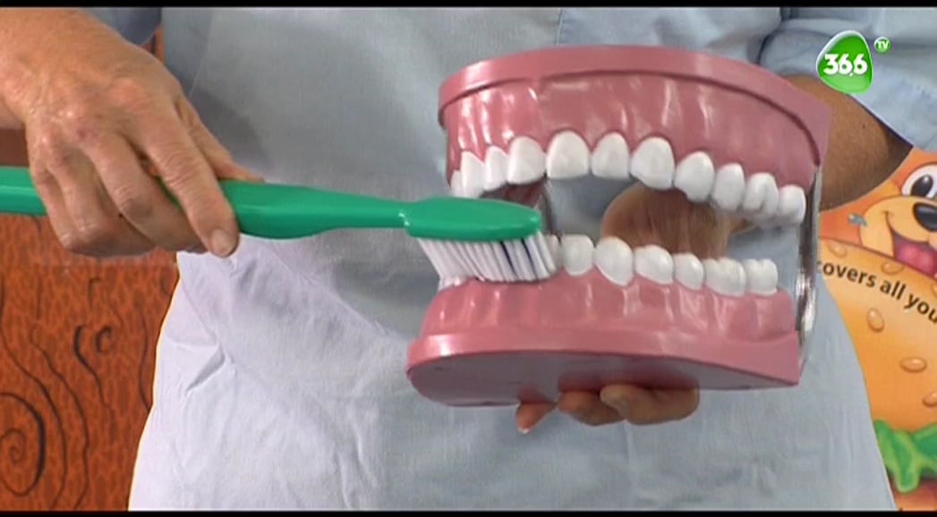 Nové satelitní FTA kanály 46. týden roku 2018