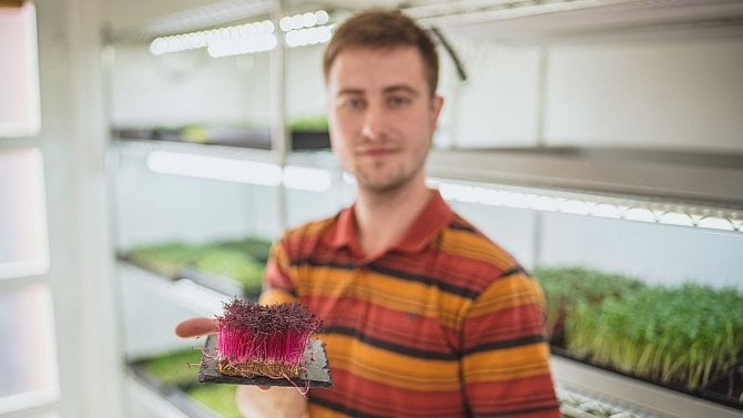 Ilustrační obrázek