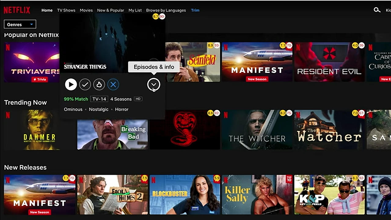 Netflix - ukázka předplatného s vkládanou reklamou