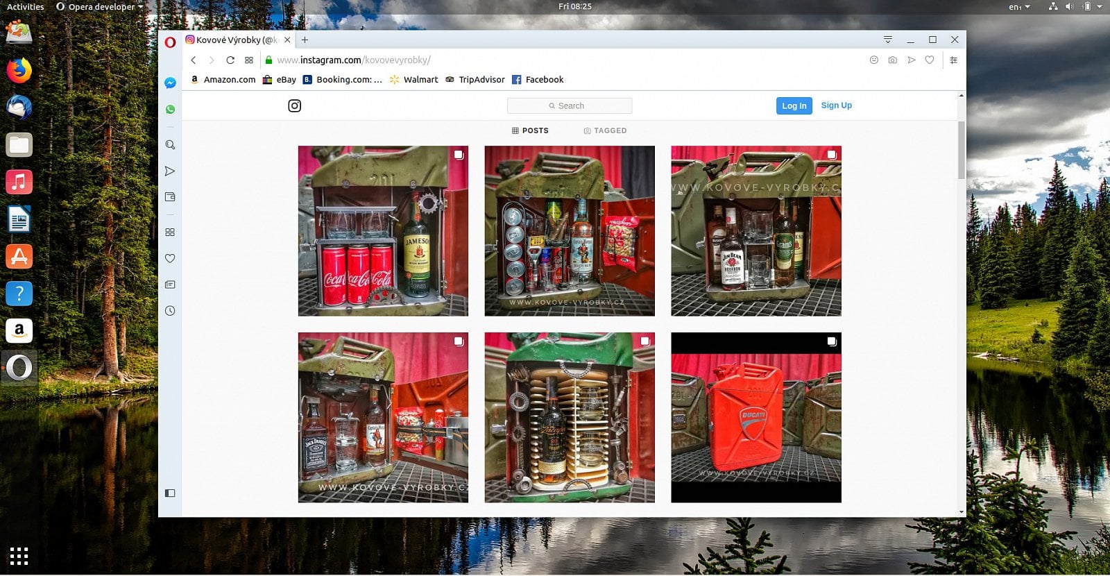 Instagram v nové Opeře – příklad webu.