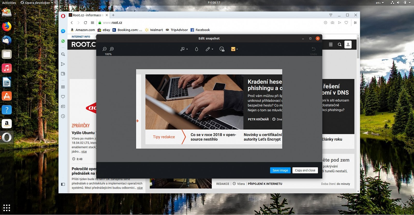 Nástroj umožňuje provádět se získaným obrázkem základní operace.