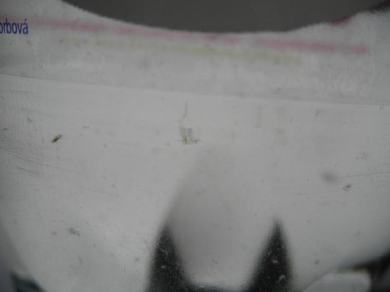 Ochucená pramenitá voda MERUŇKOVÁ, JAHODOVÁ a ANANASOVÁ. Kategorie: Nebezpečné potraviny. Nevyhovující parametr: chuť, vzhled. Chuť byla netypická pro danou potravinu, neodpovídající použitým surovinám. Uvnitř některých balení se vyskytovaly plovoucí klky. Potravina měla prošlé datum minimální trvanlivosti, z tohoto důvodu nejsou uvedeny informace o výrobci. Místo kontroly: Levné potraviny s.r.o., Děčín 1