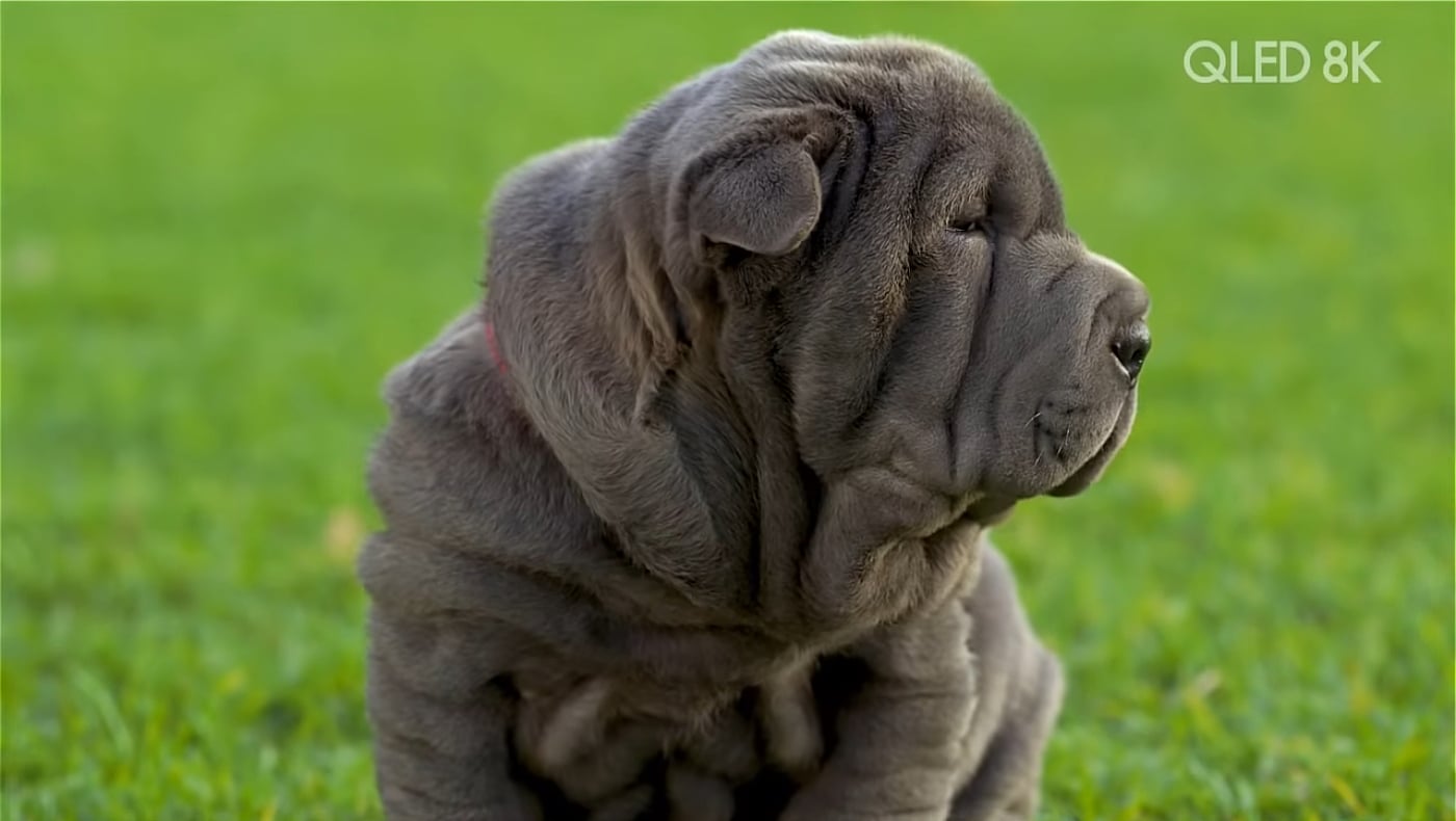 Kodlix U500 - Netflix