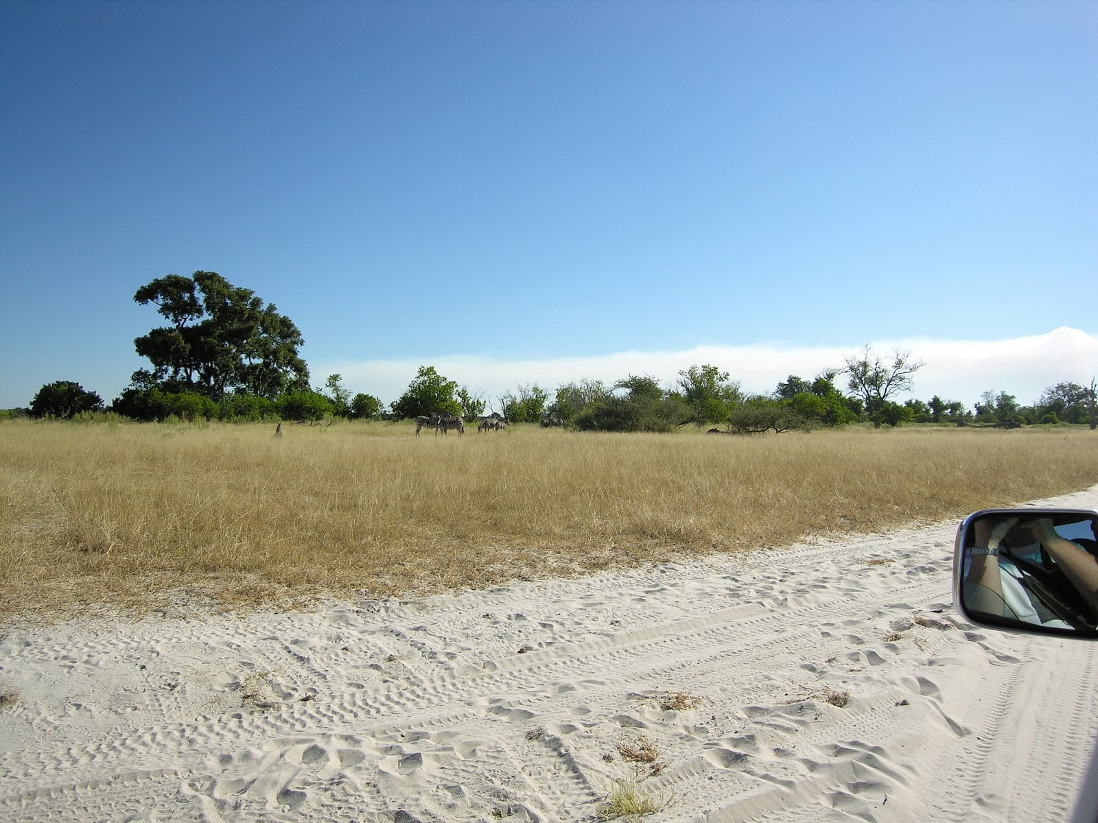Botswana, Moremi.
