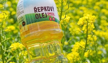instagram dospělý kouření instagram dospělý kouření