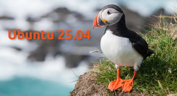 Ubuntu 25.04