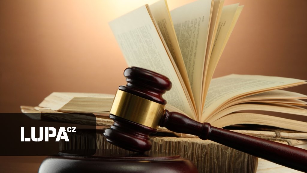 Advokát naletěl umělé inteligenci, Ústavní soud mu dal pokutu