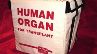 Náhledový obrázek - ČR bojuje proti nezákonným transplantacím