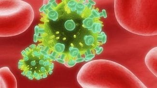 Náhledový obrázek - Jih Pákistánu zasáhla epidemie HIV, postiženy jsou zejména děti