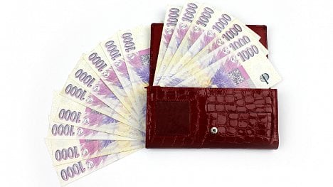 Online pujcky ihned holýšov letak picture 2