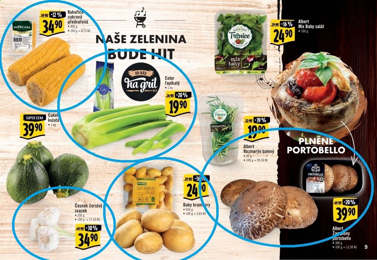 Letáky Albert grilovací sezóna 2021 a 2021