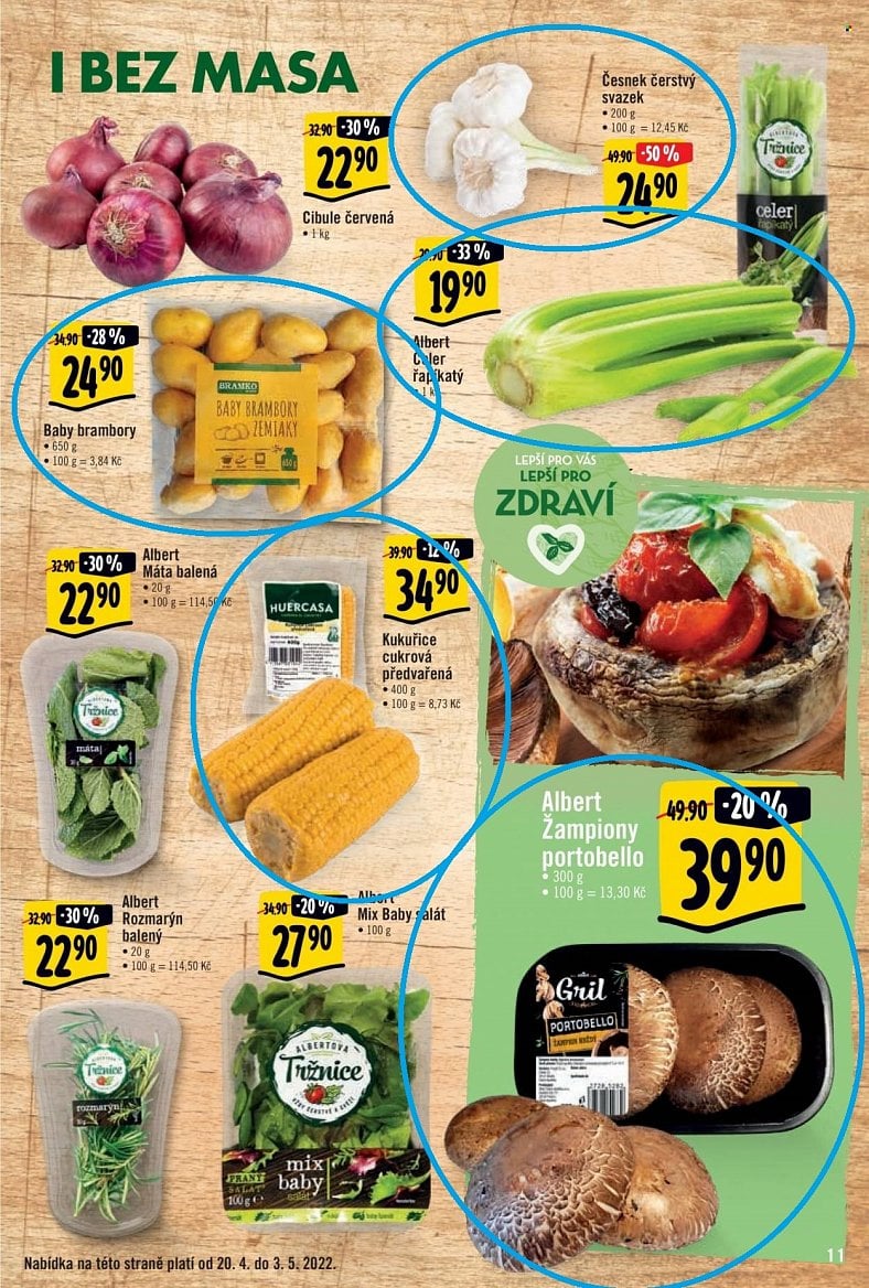Letáky Albert grilovací sezóna 2021 a 2021