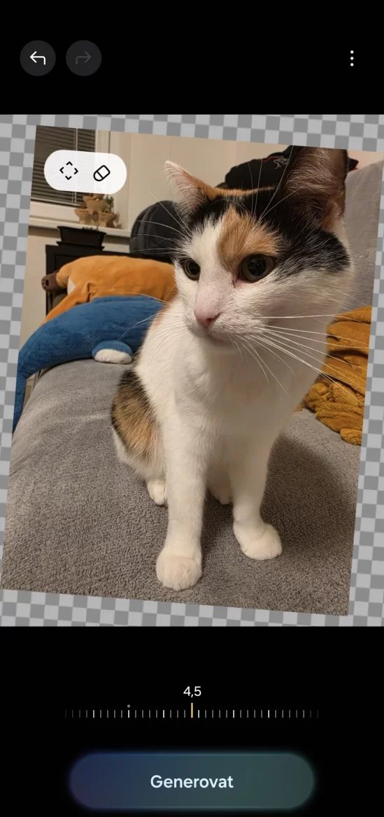 Samsung Galaxy S25 Ultra