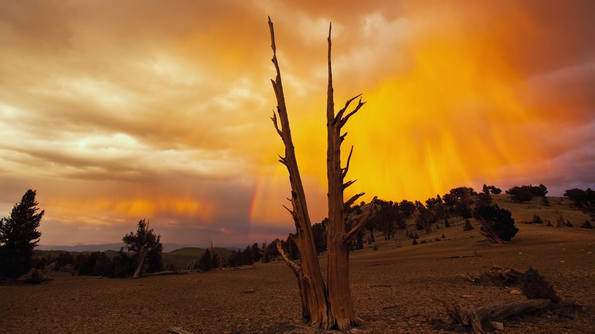 Zidoo Z1000 - ukázky přehrávání