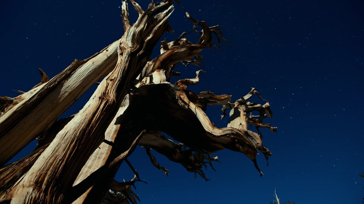 Zidoo Z1000 - ukázky přehrávání