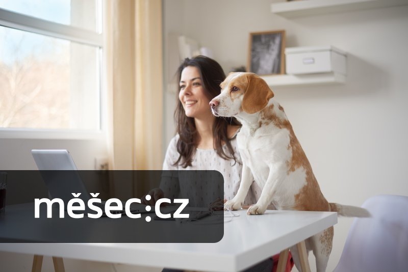„Jdu k vám zkontrolovat hygienické podmínky“ nakonec neuslyšíte. Byrokracie v pravidlech pro home office trochu vychladla