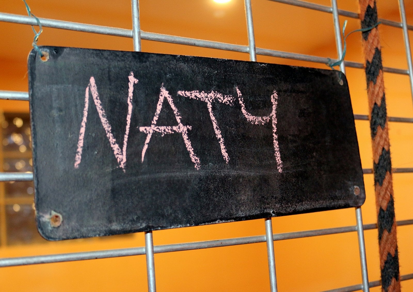 Hotel pro psy a kočky v Břevnici u Havlíčkova Brodu