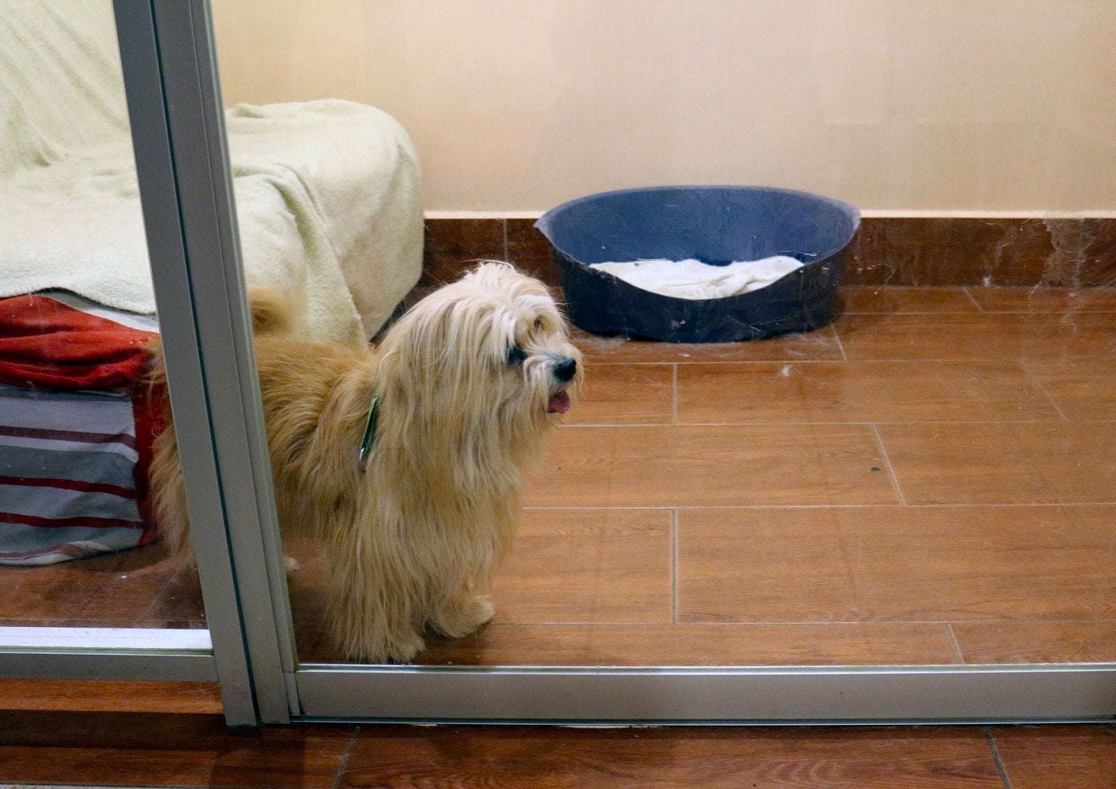 V některých kotcích jsou vyhřáté podlahy, gauč, televize i rádio.