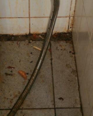 Čínská restaurace Xin Tian Hao Jiu Jia, Praha