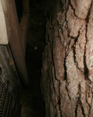 Estrella restaurant, Praha