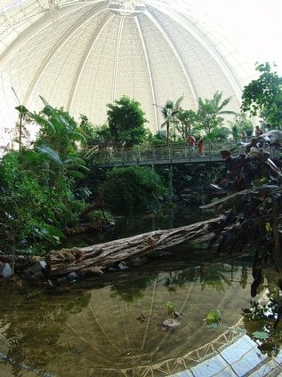 2016-04-akvapark-tropical-islands-v-hangc3a1ru-u-berlc3adna-10.j