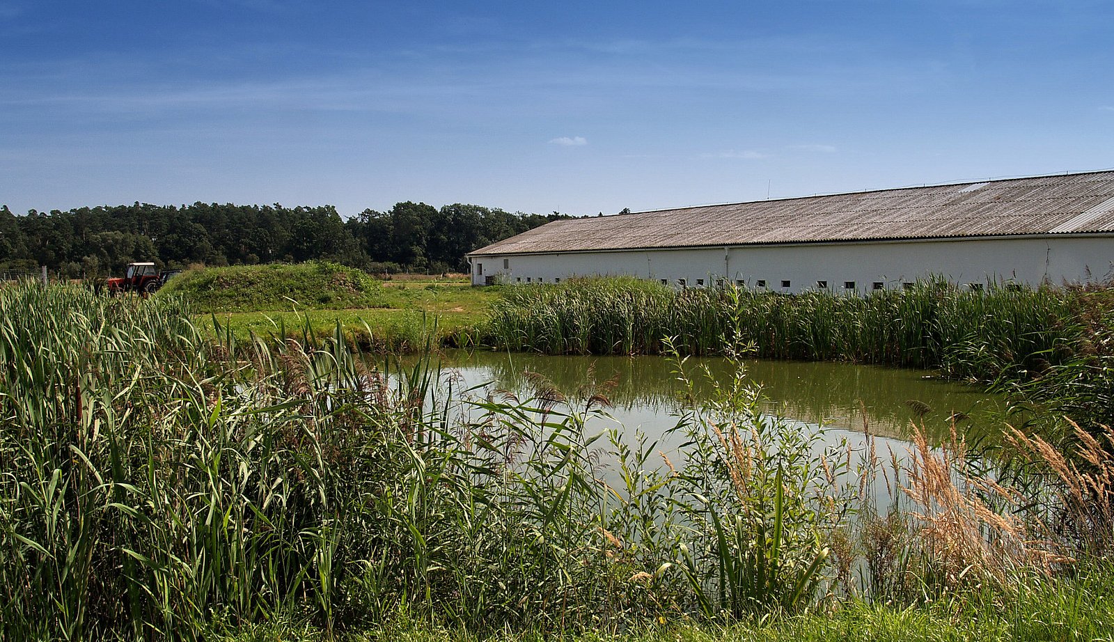 Farma Labské Chrčice: Jak si žijí kuřata