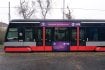 Fialová tramvaj vyjede u příležitosti světového dne podpory lidí s epilepsií, tzv. Purple Day.