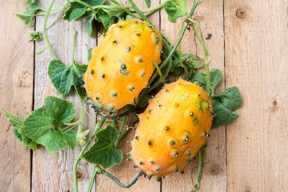 Kiwano – rohatá okurka