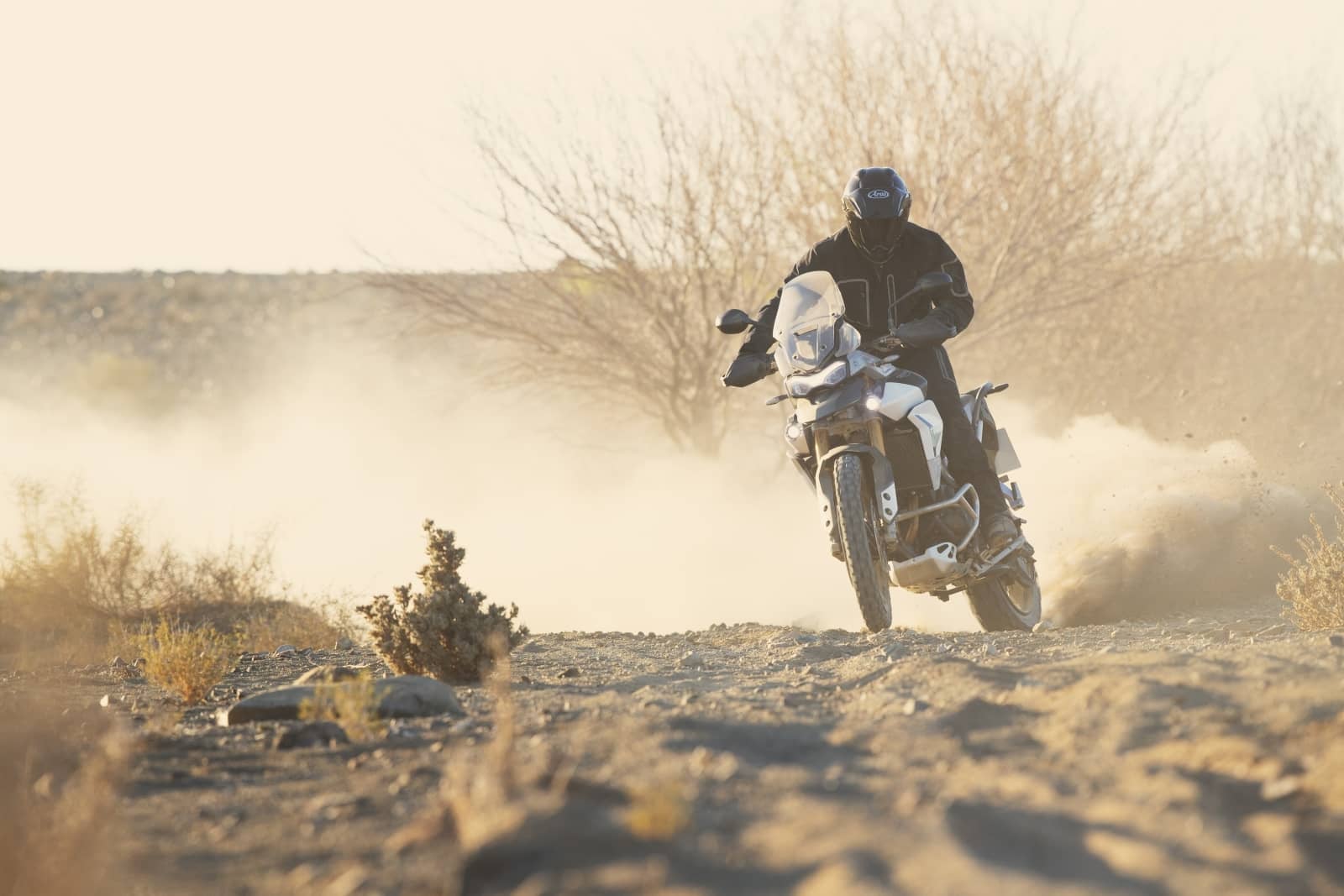 2019-12-TriumphTiger900042.jpg