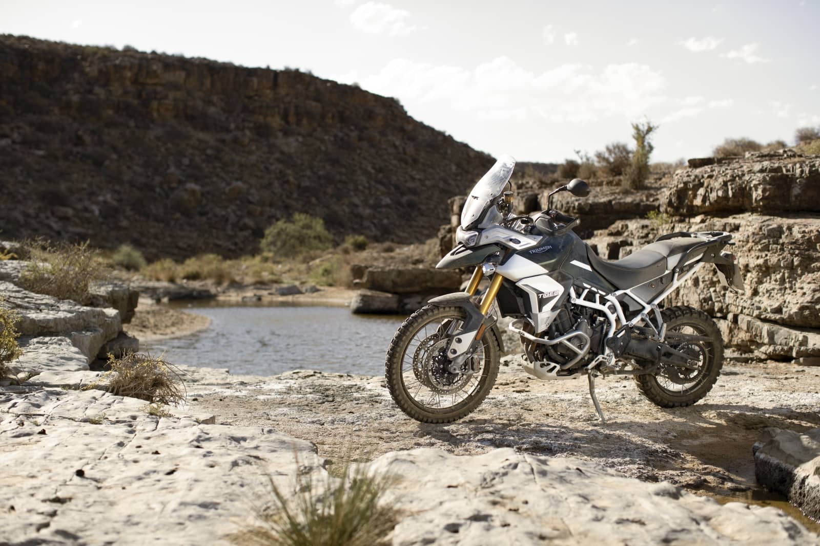 2019-12-TriumphTiger900047.jpg