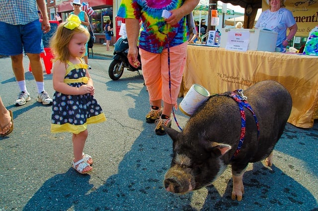 I hamburgery mají svůj festival