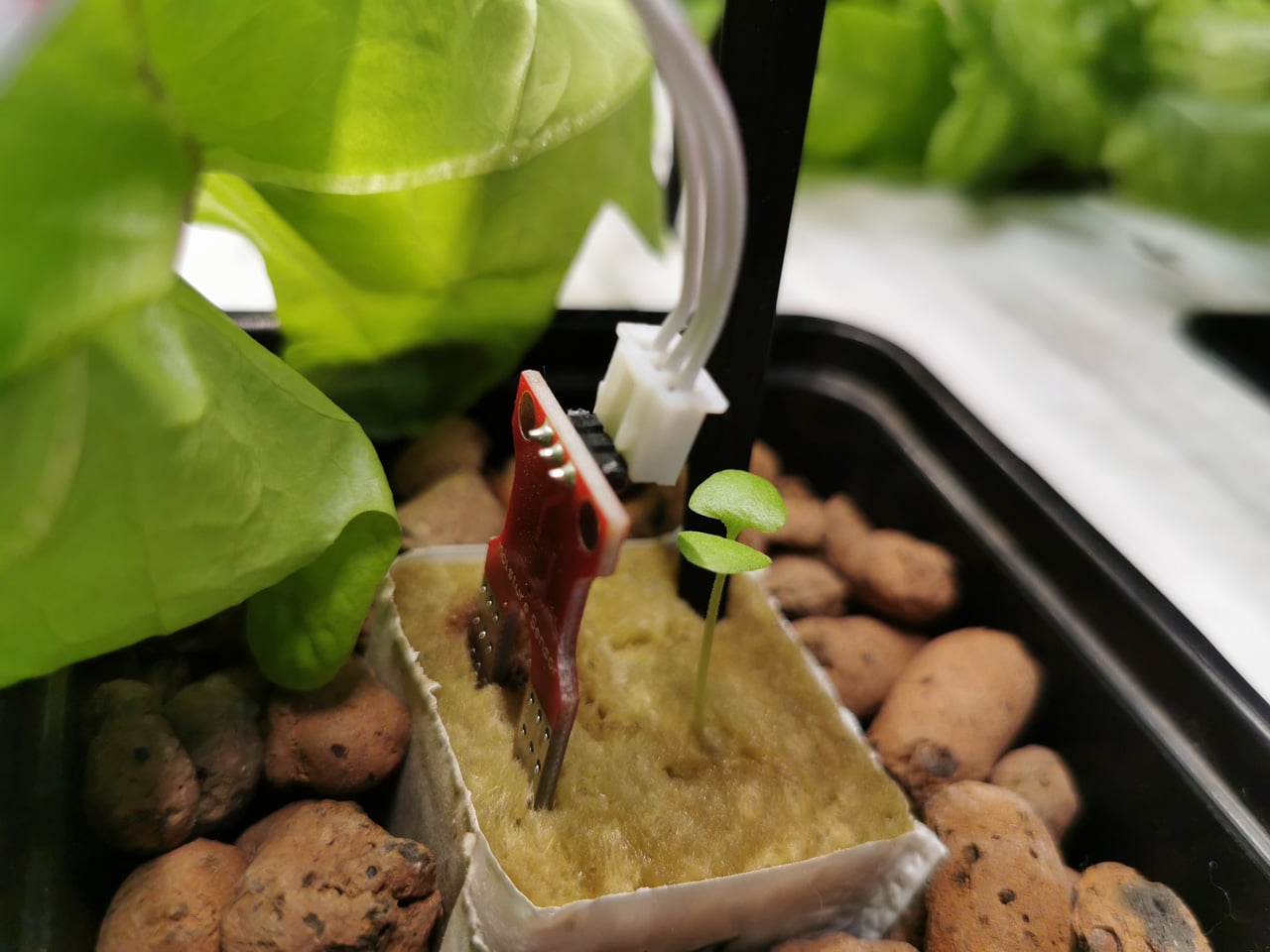 Jak vypadal Maker Faire Prague 2019