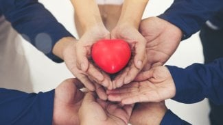 sutlafk / stock.adobe.com