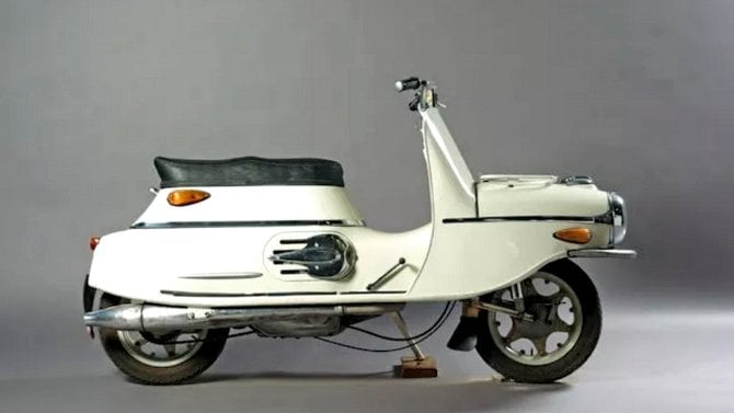 Kvíz, který odborníci sfouknou levou zadní. Ptáme se, co to je prase, Číňan, mandelinka nebo ovce