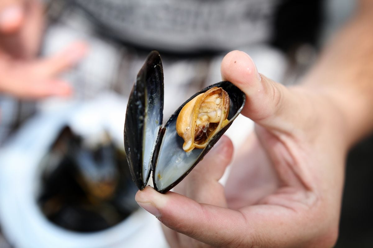 Foodparade vyhlašuje soutěž pro všechny amatérské kuchaře