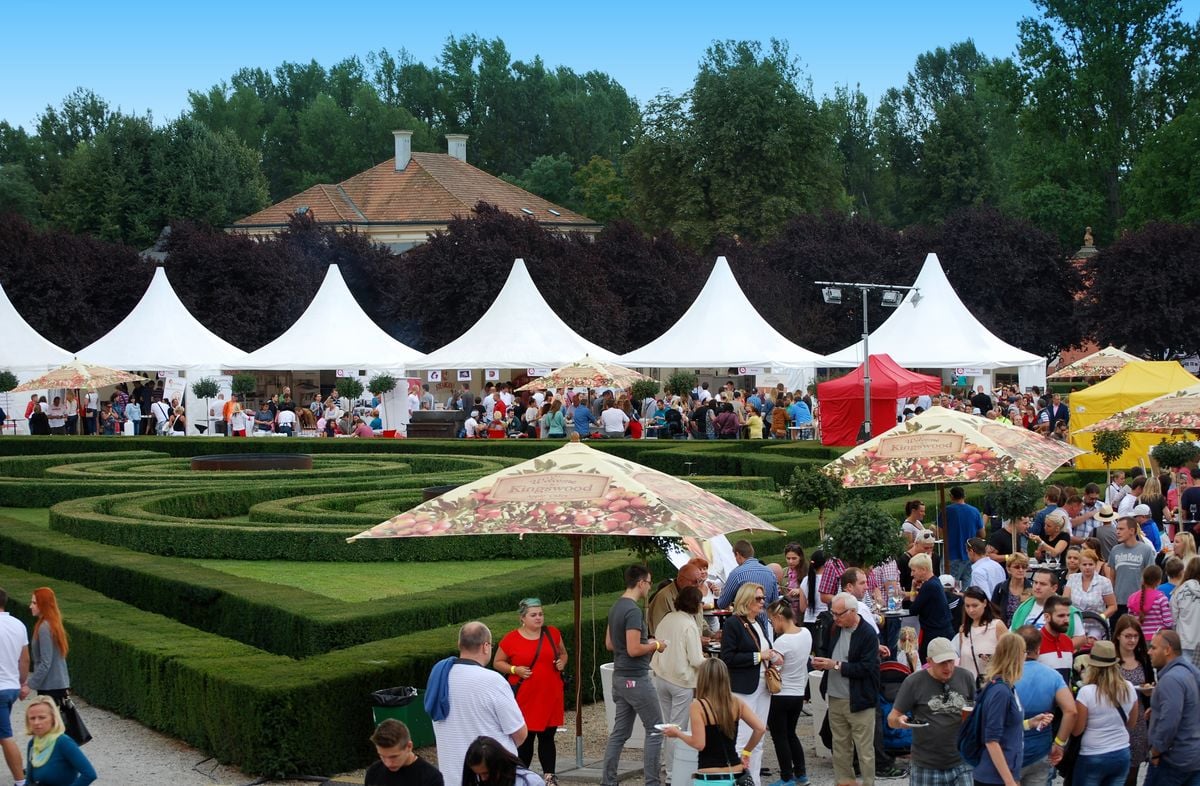 Foodparade vyhlašuje soutěž pro všechny amatérské kuchaře