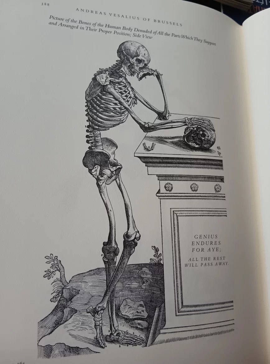 Reprint dřevorytu z knihy ze 17. století sepsané Andreasem Vesaliem. Lidské tělo tehdy malíři běžně zobrazovali v různých pózách i přírodních kulisách.