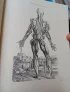 V 17. století nevěděli anatomové o lidském těle toho tolik, co víme dnes. Přesto dokázali zachytit jeho věrné detaily.
