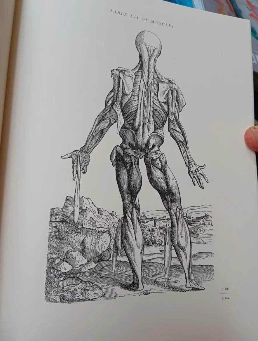 V 17. století nevěděli anatomové o lidském těle toho tolik, co víme dnes. Přesto dokázali zachytit jeho věrné detaily.